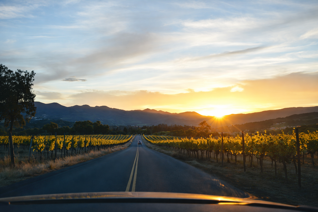 Three Expressions of Summer: Sonoma, Mendocino & Lake Counties Red, White & Beautiful — Summer Edition