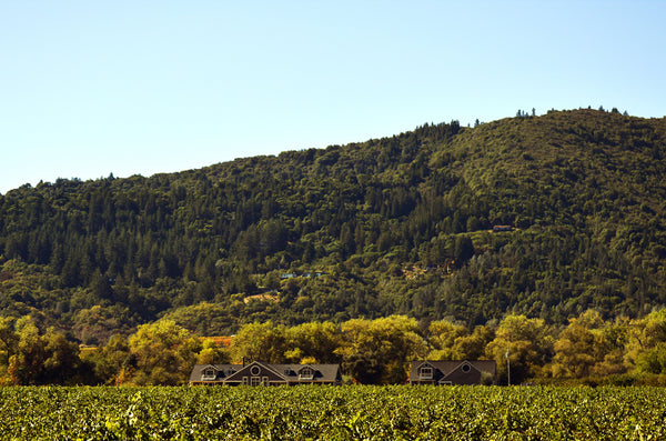 Dry Creek Valley