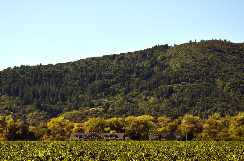 Dry Creek Valley