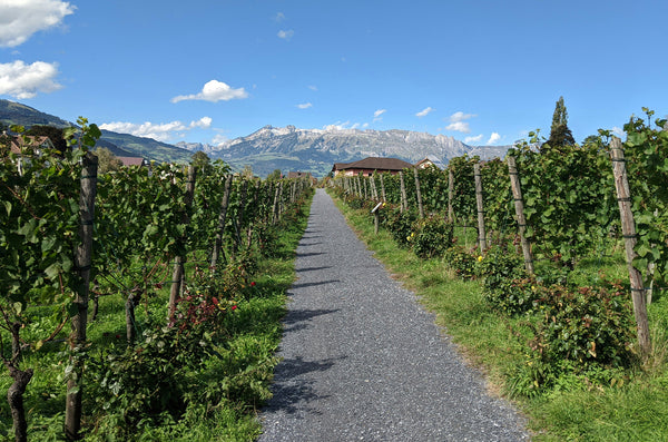 High Valley