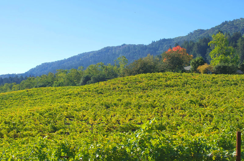Russian River Valley